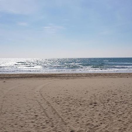 アグドStudio Naturiste "Sunshine" Heliopolis Fg 14アパートメント エクステリア 写真